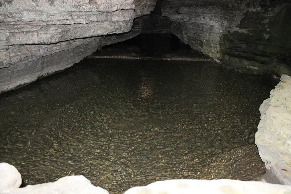 230001_500984006604354_1564056468_n