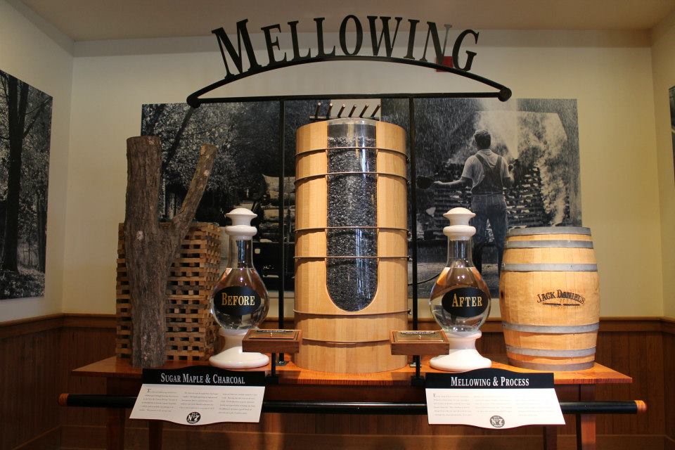 401393_500984209937667_952047358_n