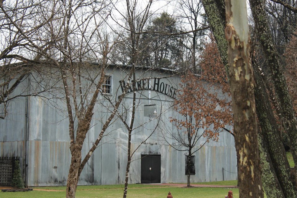 541207_500984239937664_1349544110_n